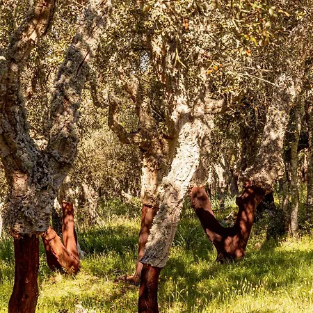 Country house Monte Pirastru