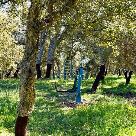 Country house Monte Pirastru Nughedu di San Nicolo