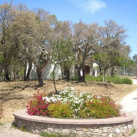 Monte Pirastru Nughedu di San Nicolò