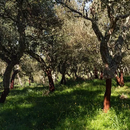 Monte Pirastru Landhaus *