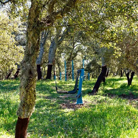 Kır Evi Monte Pirastru Nughedu di San Nicolò